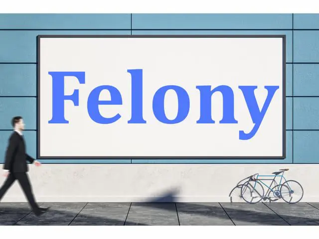 Everything You Need to Know About the Felony Murder Rule in California