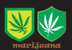 El Abogado Stuart Kirchick Explica En Qué Se Diferencian La Marihuana Y El Alcohol En Un Arresto Por DUI