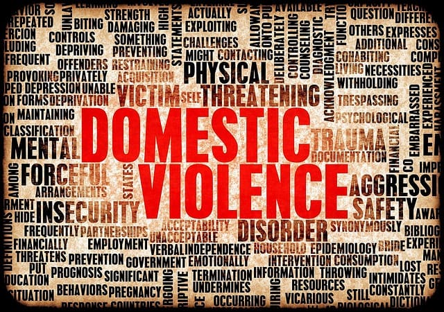 First Action in Domestic Violence Incidents: Stallworth's Guide - Attorneys.Media